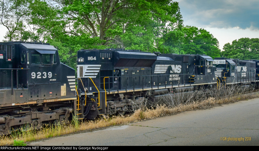 NS 1164